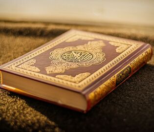 В Швеции прошла акция с осквернением Корана