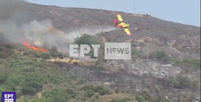 Пожарный самолет потерпел крушение на Эвбее