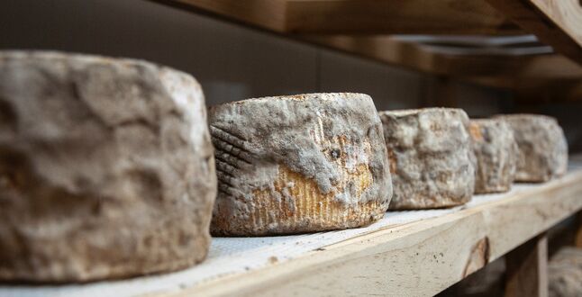 Итальянского сыровара насмерть завалило сыром