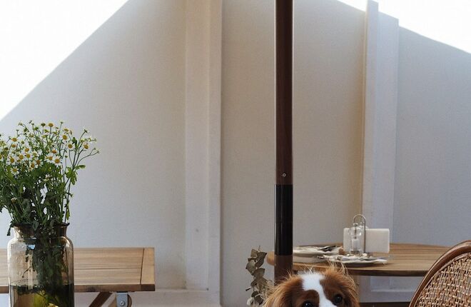 В московском кафе «Публика» пройдет French Summer Market