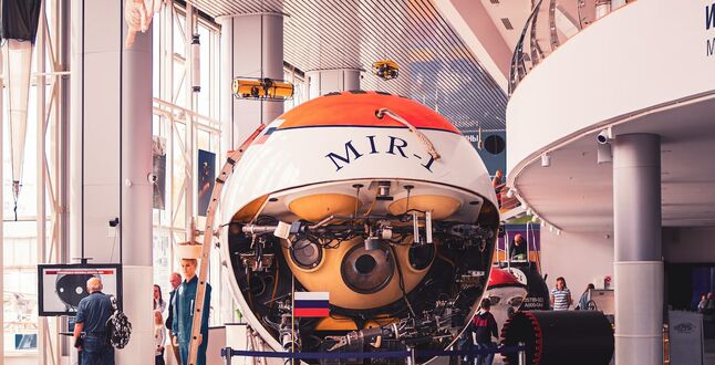 Редкости с острова Мадагаскар привезли в Калининград 