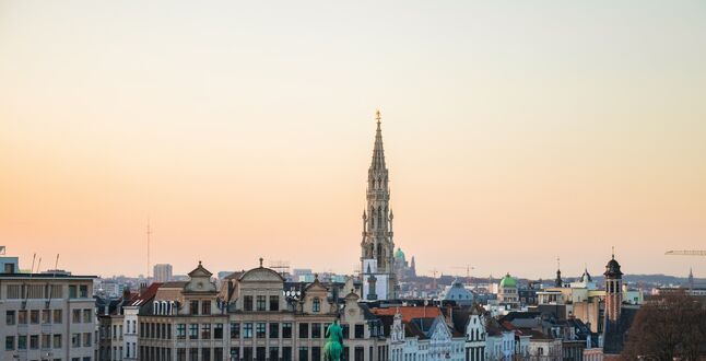 Пьяный ирландский турист разбил статую у Брюссельской биржи