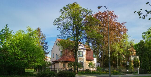 В Эстонии предложили переименовать Калининград