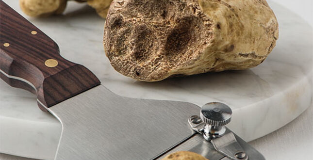 На Кипре начался трюфельный сезон 