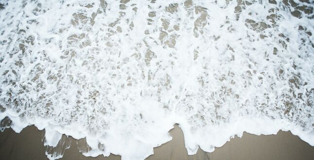 В Калининграде появится новый морской курорт