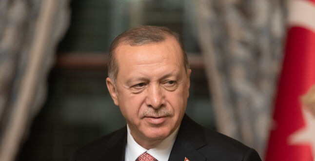 Эрдоган подписал протокол о вступлении Швеции в НАТО