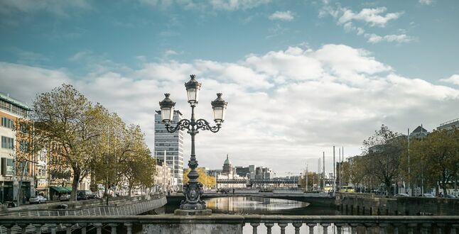 В Дублине устроили протесты из-за мигрантов