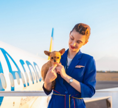 Авиакомпания Fly Arna разрешила провоз животных на борту