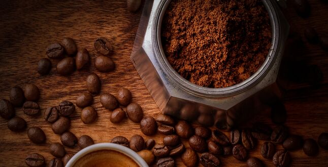 В калининградском зоопарке дорожки стали посыпать кофе