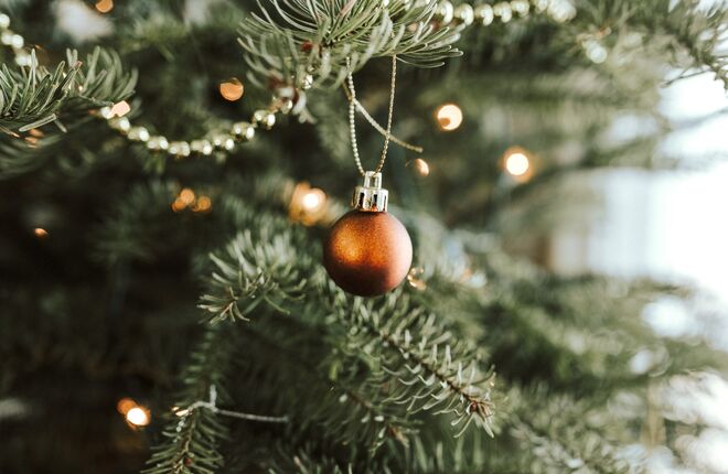 В Бельгии упавшая рождественская елка убила человека