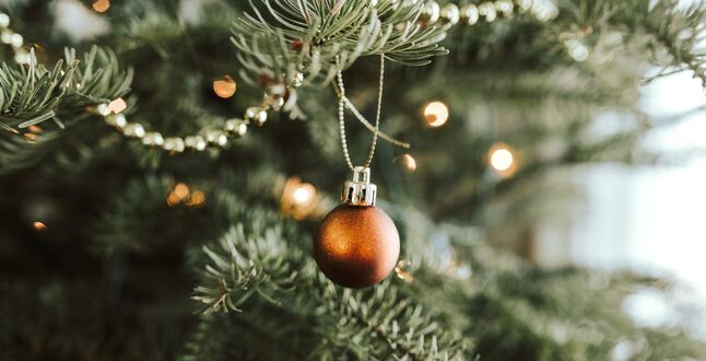 В Бельгии упавшая рождественская елка убила человека