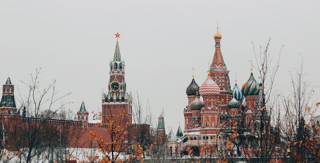 Названы лучшие направления для одиночек