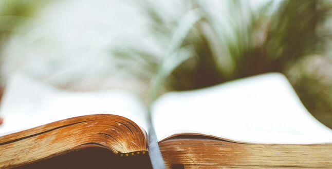 Из библиотек Германии воруют старинные издания русских классиков