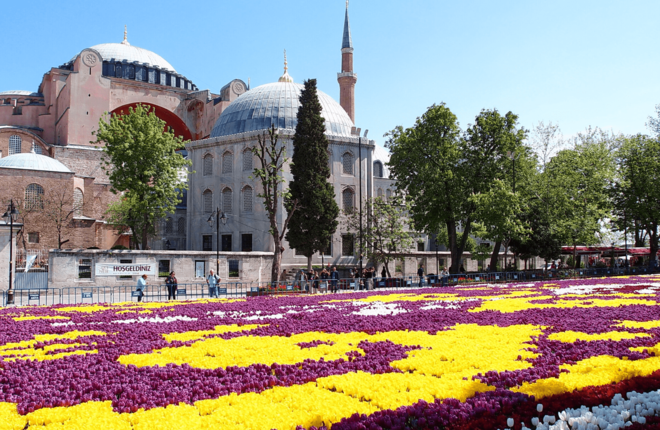 В Стамбуле пройдет фестиваль тюльпанов В Стамбуле пройдет фестиваль тюльпанов
