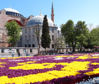 В Стамбуле пройдет фестиваль тюльпанов