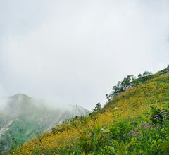 Стало известно, когда горные курорты Сочи завершат зимний сезон