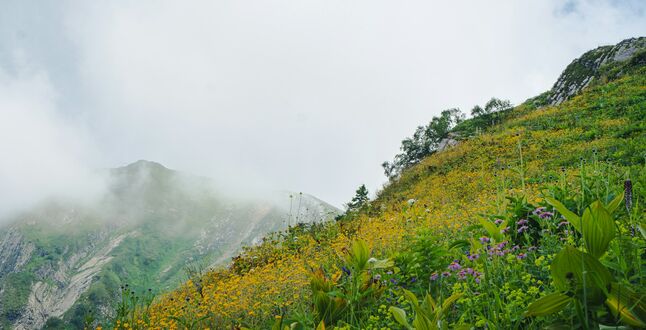Стало известно, когда горные курорты Сочи завершат зимний сезон