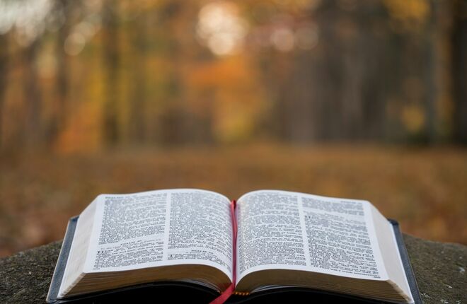 Ярмарка интеллектуальной литературы non/fictioN пройдет в Москве