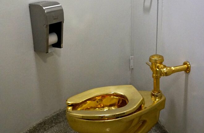 Грабитель признался в краже золотого унитаза из поместья, где родился Уинстон Черчилль 