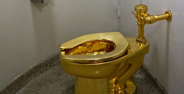 Грабитель признался в краже золотого унитаза из поместья, где родился Уинстон Черчилль 