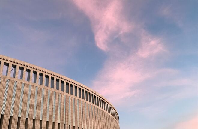 В Парке Галицкого зацвела слива «нигра» | Видео