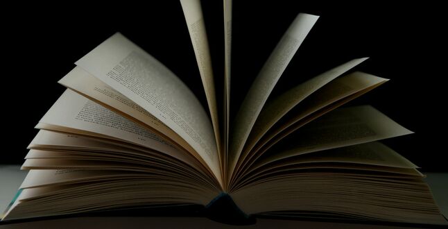 В городах России пройдет акция «Библионочь»