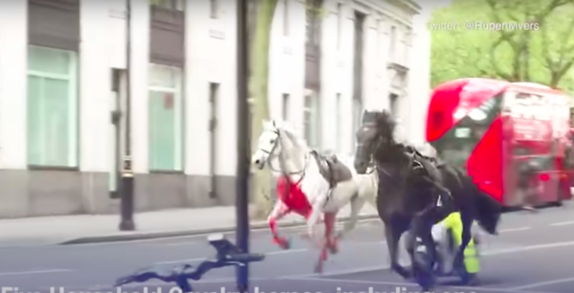 Лошади королевской гвардии устроили хаос в центре Лондона