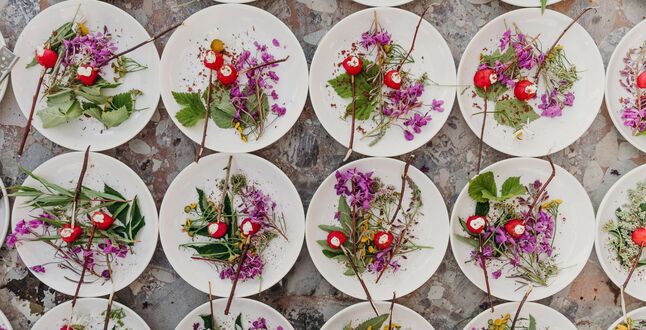 В лесах Сибири пройдут дикие ужины