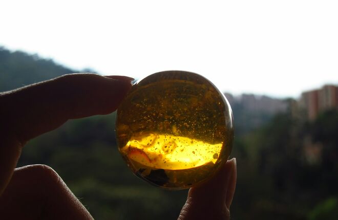 В Румынии женщина подпирала дверь самородком янтаря за €1 млн