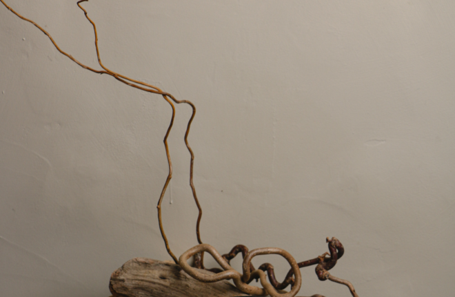 В Москве пройдёт балтийский бранч В Москве пройдёт балтийский бранч