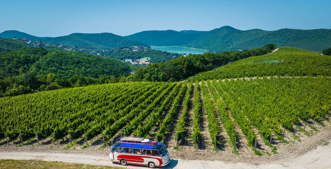 В Абрау-Дюрсо пройдет конкурс «Винная карта России»