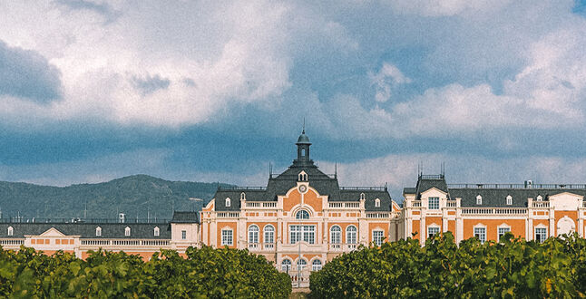 В Москве пройдет дегустация премиальных вин Château de Talu из Геленджика