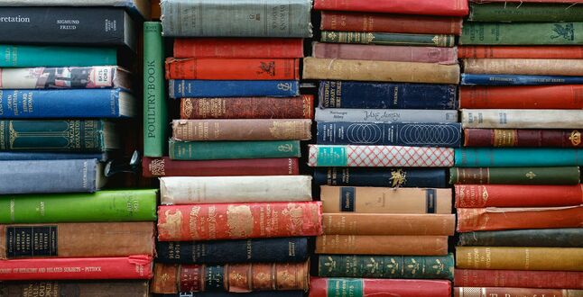 В Сибири пройдет большой книжный фестиваль