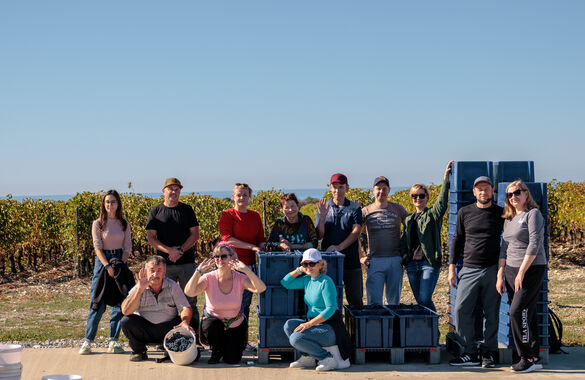 На винодельне «Шато де Талю» состоялся сбор урожая слепоглухими людьми