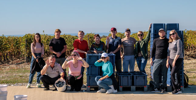 На винодельне «Шато де Талю» состоялся сбор урожая слепоглухими людьми