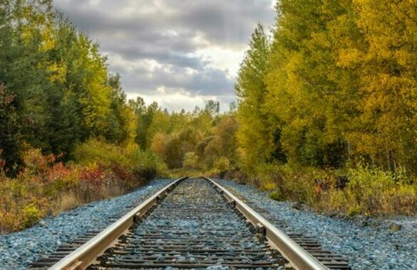 «Ласточки» из Москвы в Минск станут ежедневными