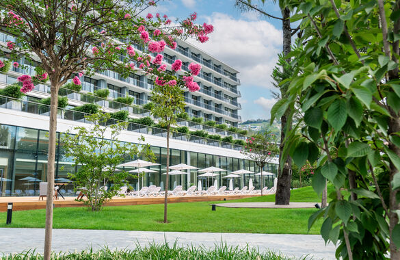 В Сочи открылся первый за 25 лет санаторий, построенный с нуля 