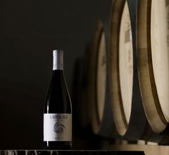 Wine Folly представит бутиковые вина