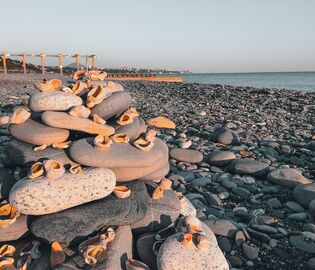 Эксперт рассказала, чем заняться на новогодних праздниках в Анапе