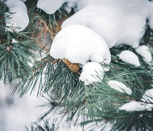 Московский снегопад стал одним из сильнейших за 146 лет