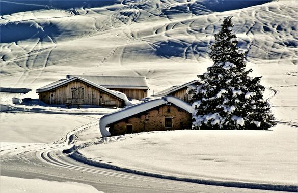 Самый дорогой отдых на зимних каникулах обошёлся почти в полтора миллиона рублей