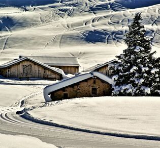 Самый дорогой отдых на зимних каникулах обошёлся почти в полтора миллиона рублей