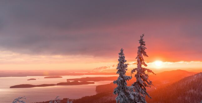 На границе Финляндии и России задержали трех немцев