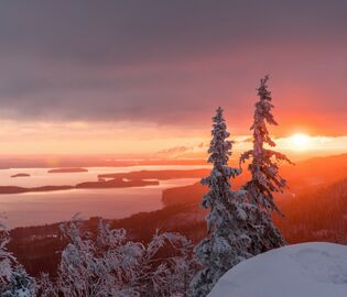 На границе Финляндии и России задержали трех немцев