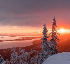 На границе Финляндии и России задержали трех немцев