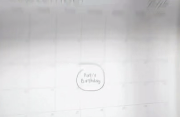 Turkish Airlines выпустила короткометражку с котом