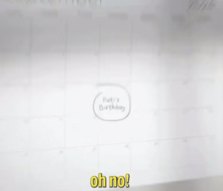 Turkish Airlines выпустила короткометражку с котом