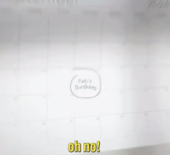 Turkish Airlines выпустила короткометражку с котом