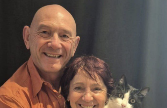 Потерявшийся кот добрался из Испании во Францию и вернулся домой