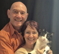 Потерявшийся кот добрался из Испании во Францию и вернулся домой